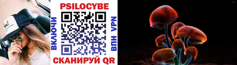 Галлюциногенные грибы Cubensis kraken как войти Спасск-Рязанский где найти наркотики