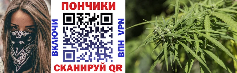 закладки  Спасск-Рязанский  Каннабис индика 